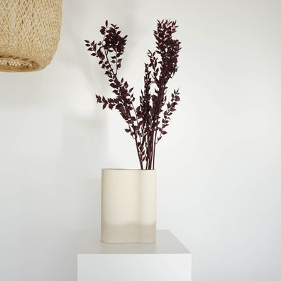 Ruscus konserviert â?? Mäusedorn Trockenblumen â?? 1â??5 Stiele (60â??75cm) â?? Konse