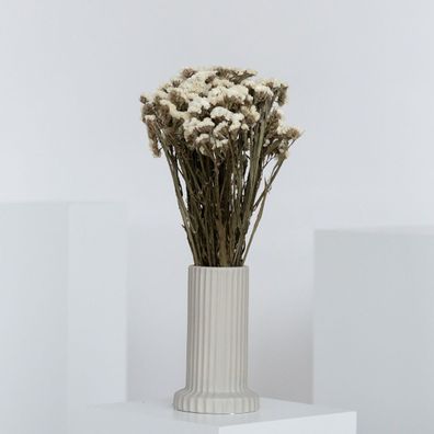 Strandflieder â?? Limonium Statice â?? Getrocknete Trockenblumen (ca. 40â??45cm) â??
