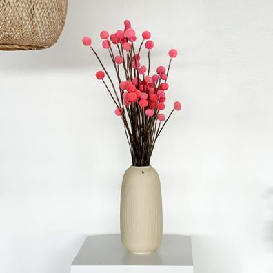 Craspedia â?? Trommelstöckchen â?? Getrocknete & konservierte Trockenblumen (30â??40c