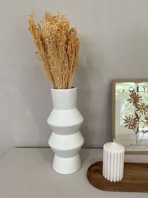 Broom Bloom â?? Getrocknete Trockenblume â?? 1 Bund (ca. 40â??50cm) â?? Voluminöse De