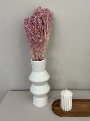 Broom Bloom â?? Getrocknete Trockenblume â?? 1 Bund (ca. 40â??50cm) â?? Voluminöse De