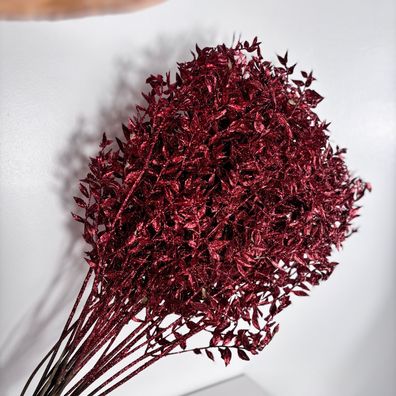 Ruscus glitzer-rot â?? 5 Stiele â?? Dekoratives Trockenblumen-Set fér Weihnachten & A