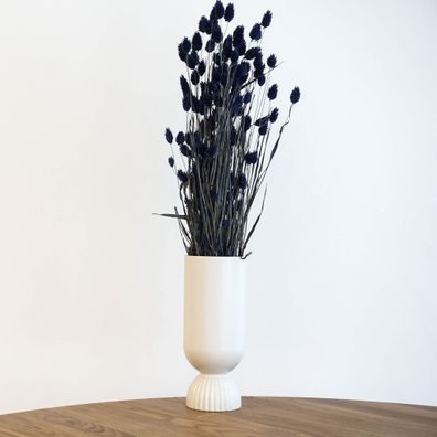 Phalaris â?? Kanariengras â?? Getrocknete Trockenblumen 60cm â?? Natur, Weiß, Apricot