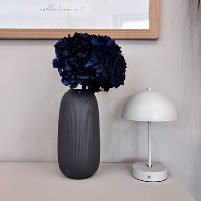 Konservierte Hortensie â?? 1 Bund â?? Getrocknete & haltbar gemachte Bléten in Weiß,