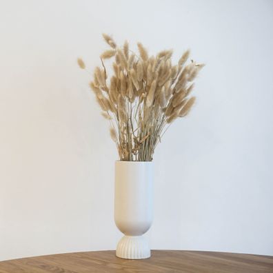 Lagurus â?? Samtgras Hasenschwanz â?? Getrocknete Trockenblumen 60â??70cm â?? Natur,