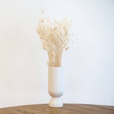 Lagurus â?? Samtgras Hasenschwanz â?? Getrocknete Trockenblumen 60â??70cm â?? Natur,