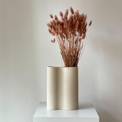 Lagurus â?? Samtgras Hasenschwanz â?? Getrocknete Trockenblumen 60â??70cm â?? Natur,