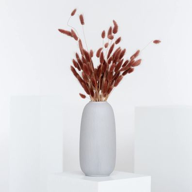 Lagurus â?? Samtgras Hasenschwanz â?? Getrocknete Trockenblumen 60â??70cm â?? Natur,