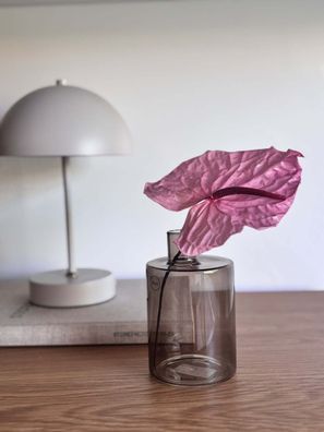 Konservierte Anthurie â?? Pink â?? Echte, haltbar gemachte Bléte ca. 30cm â?? Pflegef