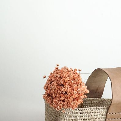 Glixia Trockenblumen â?? 1 Bund â?? Getrocknete Gänseblémchen in verschiedenen Farben