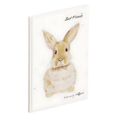Pagna Freundebuch Hase 60S 4009212063465