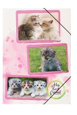 Pagna Gummizugmappe A3 PP Katzenbabys 3 Einschlagklappen