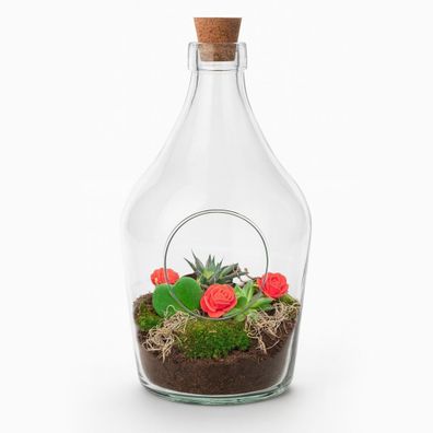 Love in a Bottle DIY Pflanzenterrarium ß16cm Höhe30cm â?? Offenes Flaschenterrarium m