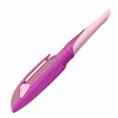 Stabilo EASYbirdy 3D DreamWorld pink R, Feder A 4006381616331