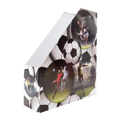 Stehsammler Karton Fussball 4008705197168