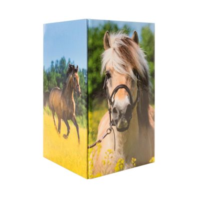 Herma Stifteköcher aus stabilem Karton B/T/H 8 x 8 x 13 cm Pferdewiese