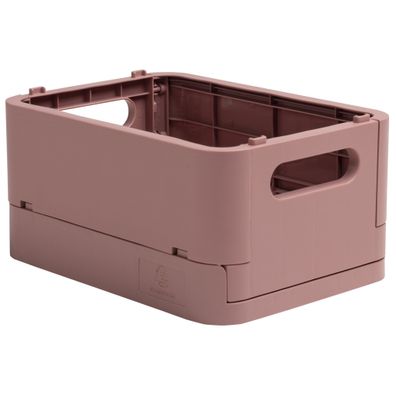 Kiste Smart Case MINI Altrosa