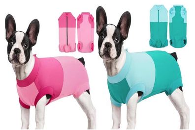 Postoperative Hundebekleidung für Hunde - Schutz & Komfort in Türkis oder Rosenrot