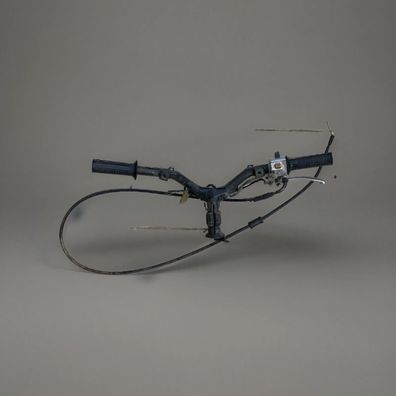 Honda Pax, Eve AF14 Oldtimer Roller Schaltereinheit rechts Lenker Gasgriff