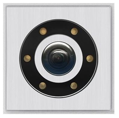 Behnke 21-2950 Modul Kamera (USB) aus Alu