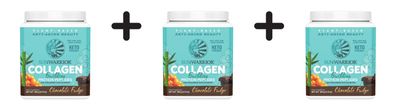 3 x Sunwarrior Collagen Building Protein Peptides (500g) Chocolate Fudge