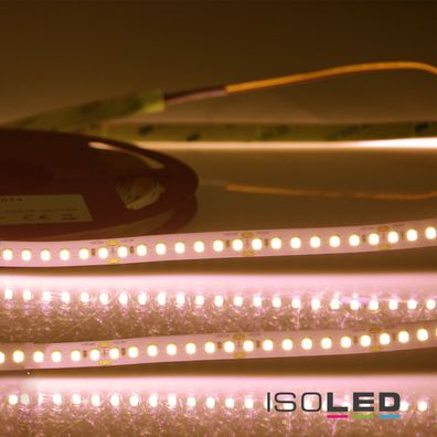 ISOLED LED CRI Food Flexband Bread 24V DC 14,4W IP20 5m Rolle 140 LED/m