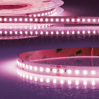 ISOLED LED CRI Food Flexband Fresh Meat 24V DC 14,4W IP20 5m Rolle 140 LED/m