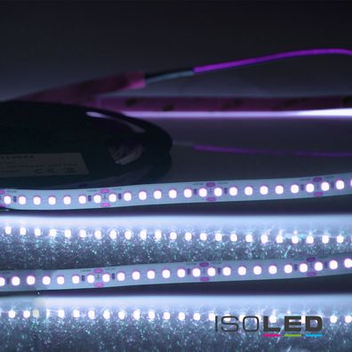 ISOLED LED CRI Food Flexband Fish 24V DC 14,4W IP20 5m Rolle 140 LED/m