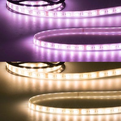 ISOLED LED AQUA RGB+WW Flexband 24V DC 19W IP68 4in1 chip 5m Rolle 60 LED/m