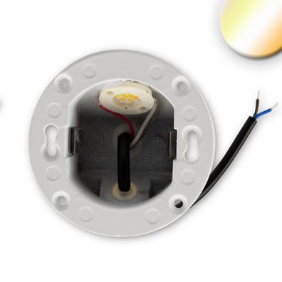 ISOLED LED Wandeinbauleuchte Sys-Wall68 230V 3W ColorSwitch 3000|4000|6000K inkl. D
