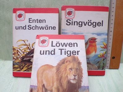 Singvögel Löwen und Tiger Enten und Schwaäne John Leigh Pemberton Uranium 1974/75