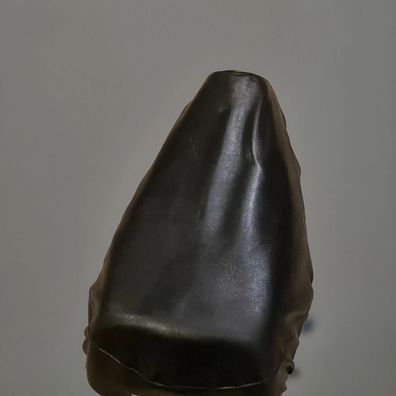 Honda Pax AF14 SD50 MF-II Sitzbank Sattel Vintage Roller Oldtimer