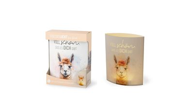 LED-Dekolicht LaVida Poesielicht für Dich 16 x 13 x 5 cm Voll schön, dass es Dich gib