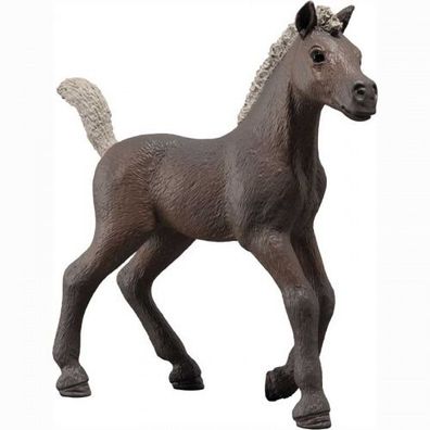 Schleich® Horse Club Sammelfohlen Darcy