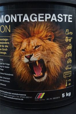 5Kg TYPAX LION Reifen Montagepaste Montagefett Montierpaste Bus Reisebus