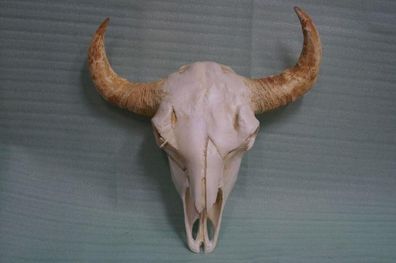 Design Figur Statue Skulptur Figuren Skulpturen Dekoration Deko Statuen Büste