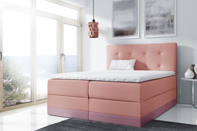 Ehebett Bett Rosa Polsterbett Betten Boxspring Bett Doppelbett mit Matratze Neu