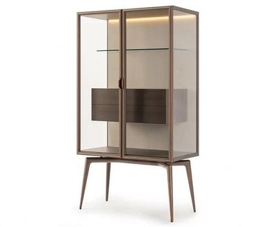 Sammlerschrank Schrankvitrine Glasschrank Ausstellungsregal Schaukasten