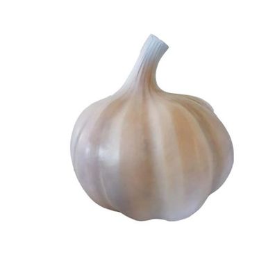 Knoblauch Figur Statue Laden Dekoration Statuen Figuren 90cm Deko Garten Laden