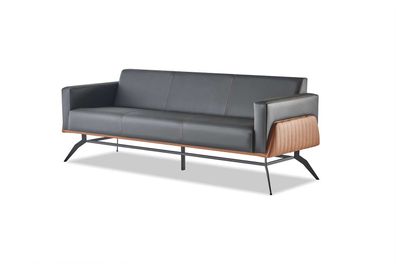 Sofa Sitzmöbel Leder Schwarz Braun 3-Sitzer Sofa Modern Ledersofa Holz