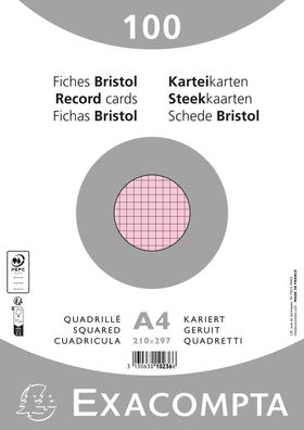 Karteikarten A4 kar 100St/Pkg rosa