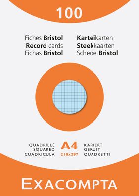 Karteikarten A4 kariert sortiert