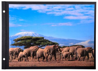 Einlagen Fotoalbum 22x31,5 10Bl sw