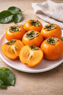 Kakibaum Vaniglia 160-200 cm Kakipflanze Diospyros kaki Obstbaum winterhart