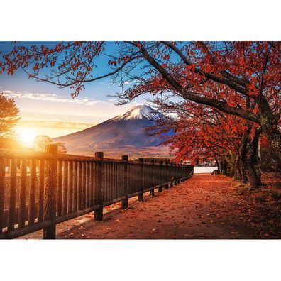 TREFL Puzzle Premium Plus Foto-Odyssee: Berg Fuji, Japan 1000 Teile