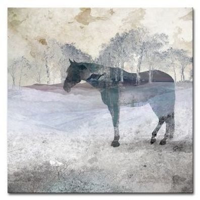 Pfad der Erinnerungen“ Kunstdruck Poster Druckbild Leinwanddruck G98463