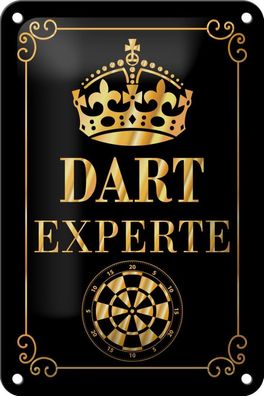 Blechschild Dart Experte Krone, 3 vers Größen, Spruch Hobby Sport