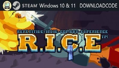 NEU PC Computer Spiel RICE Repetitive Indie Combat für Windows 10 11 STEAM Code