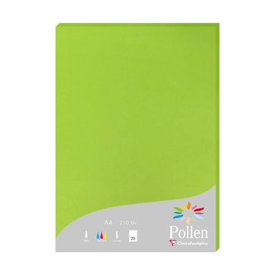 Clairefontaine Papier A4 210g minze 25Bl