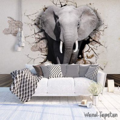 3D Fototapete Elefant Modern Vlies Wandbild Wand Tapete Wohnzimmer 7231